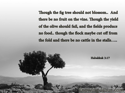 Habakkuk 3:17 Though The Fig tree Should Not Blossom (gray)